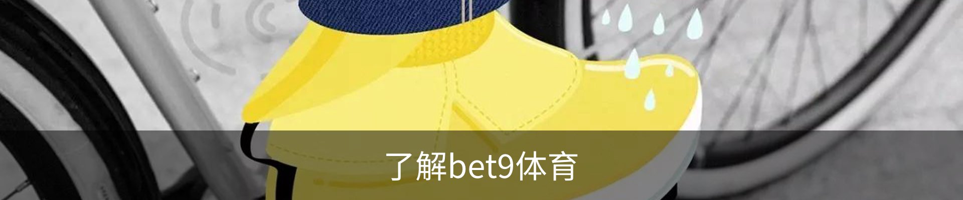 了解bet9体育