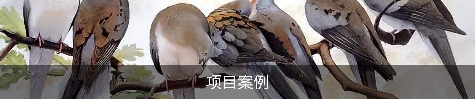 项目案例